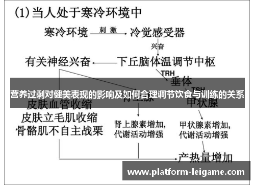 营养过剩对健美表现的影响及如何合理调节饮食与训练的关系