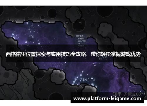 西格诺里位置探索与实用技巧全攻略，带你轻松掌握游戏优势