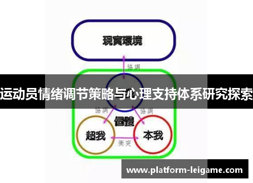 运动员情绪调节策略与心理支持体系研究探索 运动员情绪调节策略与心理支持体系研究探索